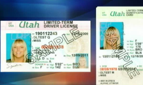 Utah State Id Card Application